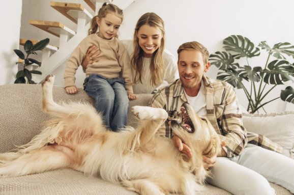 Cucciolo in famiglia: le domande giuste da porsi prima