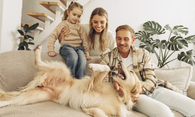 Cucciolo in famiglia: le domande giuste da porsi prima
