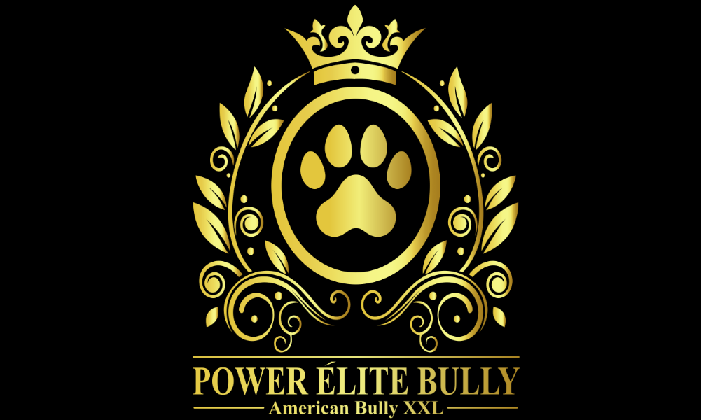 Il pedigree del cane: a cosa serve davvero?
