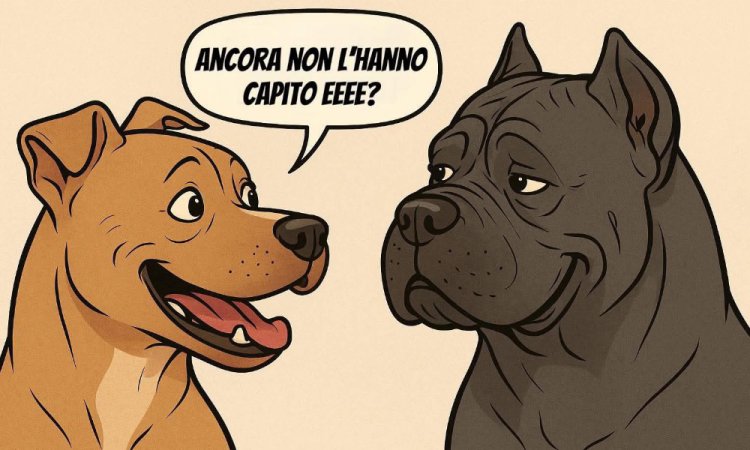 TTB e Molossoidi: Riconoscerli è vitale