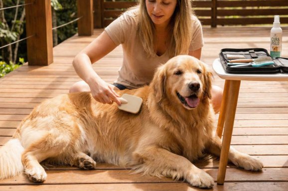 Guida Cura Pelo Golden Retriever: Toelettatura e Salute