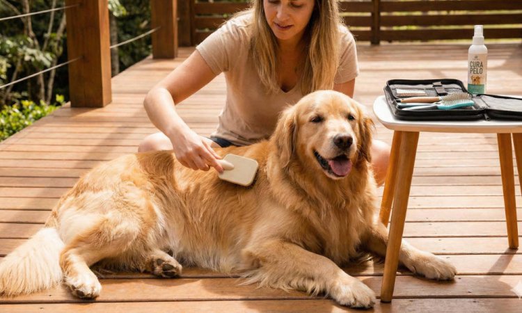 Guida Cura Pelo Golden Retriever: Toelettatura e Salute