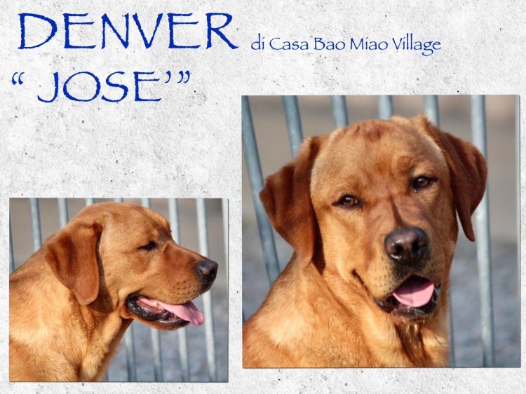 DENVER