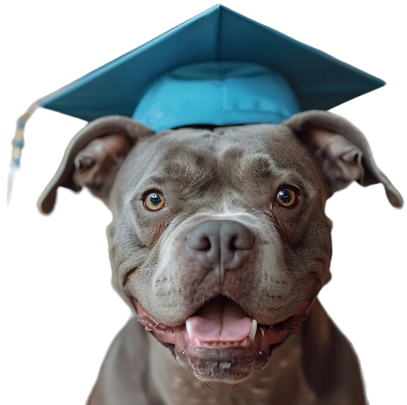 Academy Dream Dog
