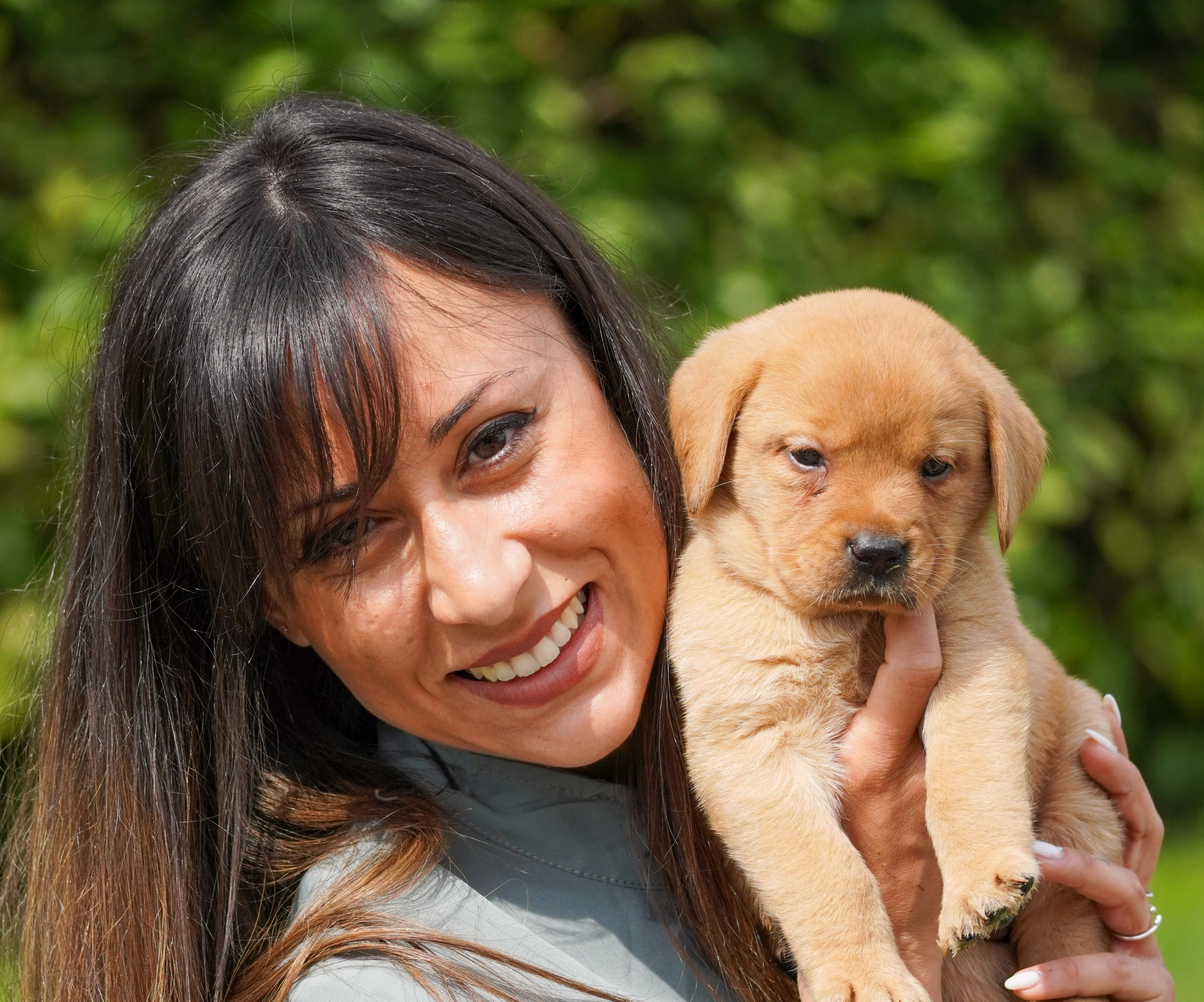 Dream Dog Allevamento